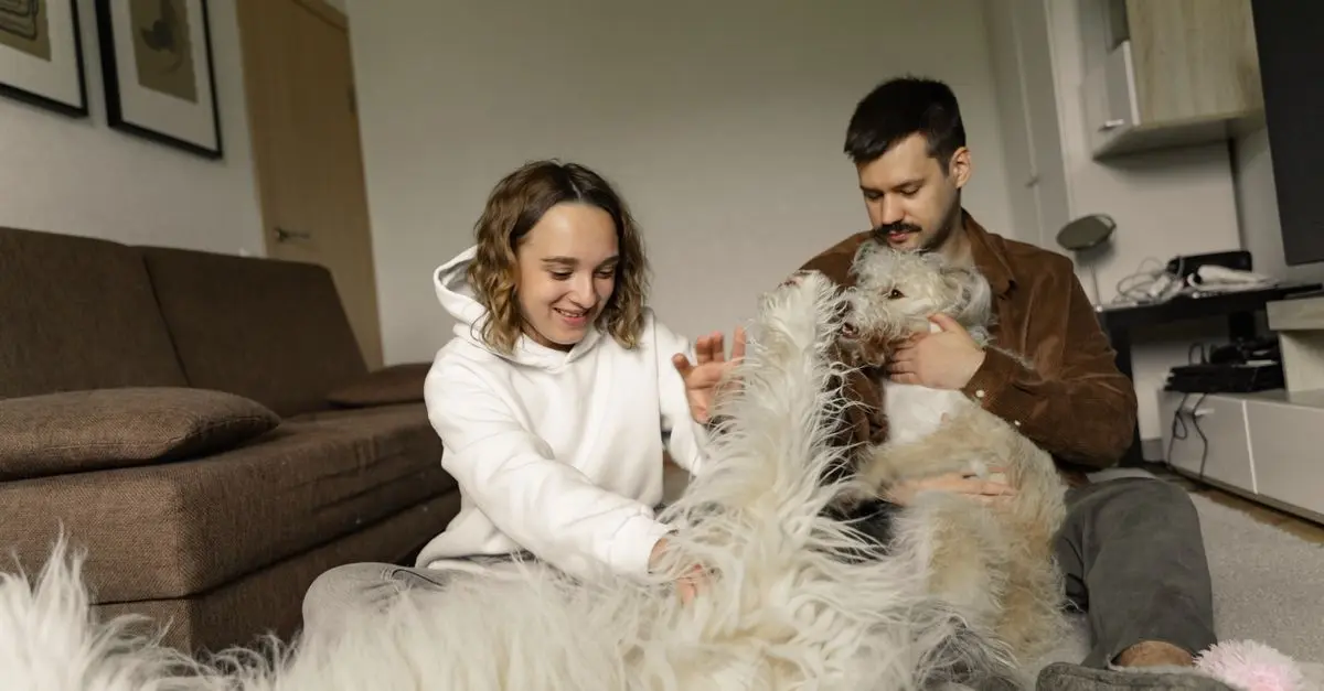 Guía de Compra de Mascotas en Casa: Bienestar y Ahorro